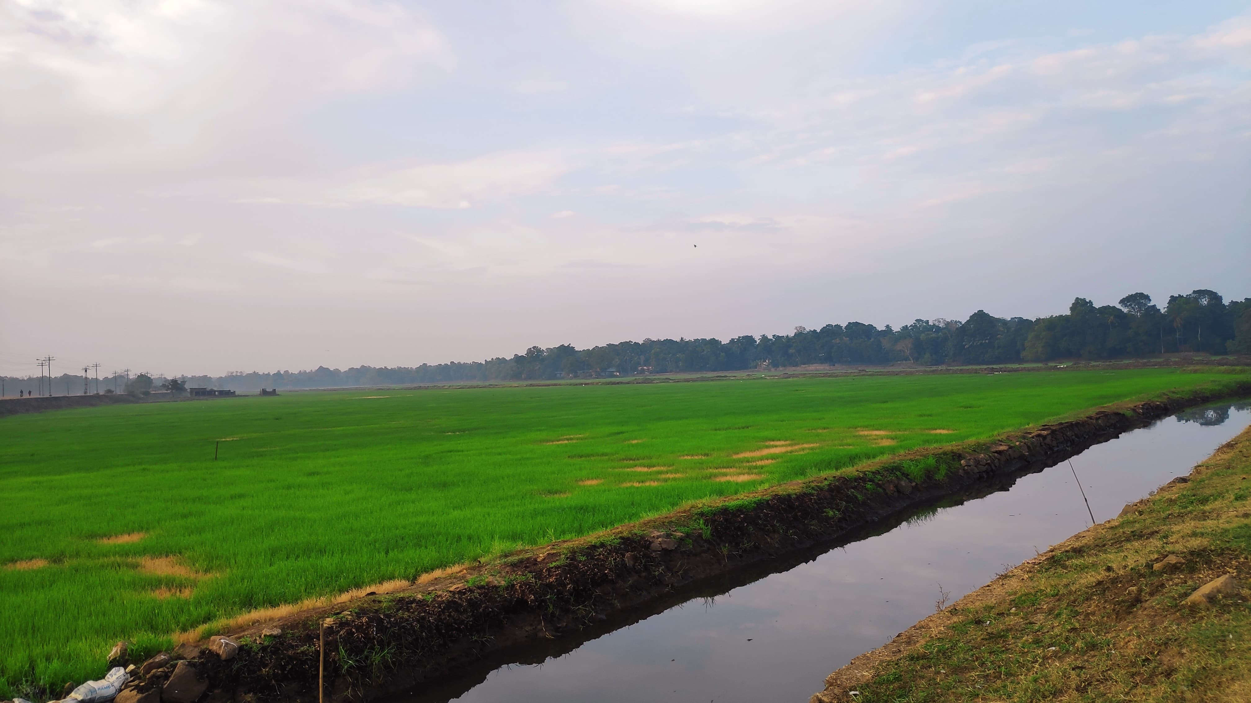 Haripad, Kerala, India / Photo by Bino