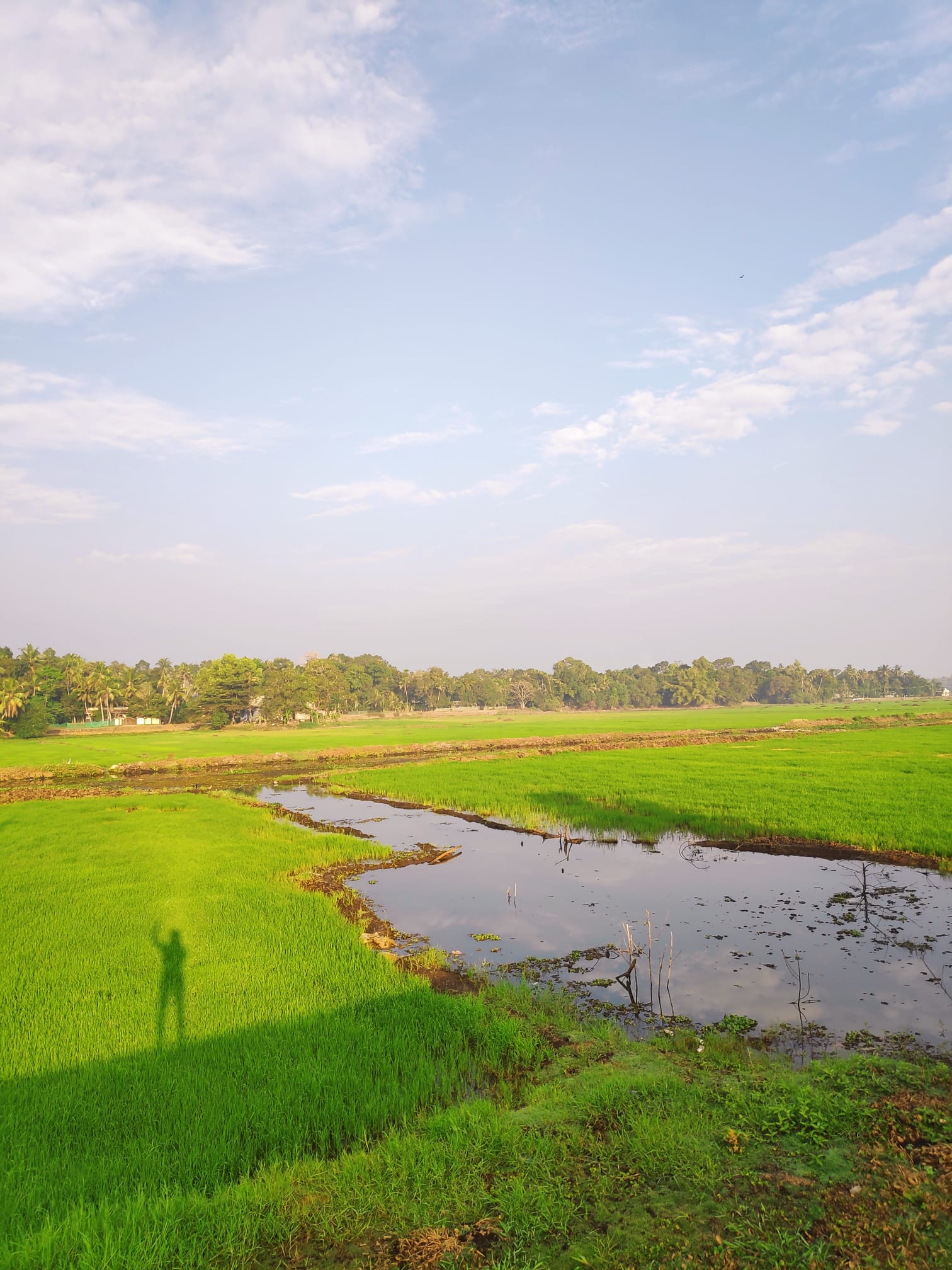 Haripad, Kerala, India