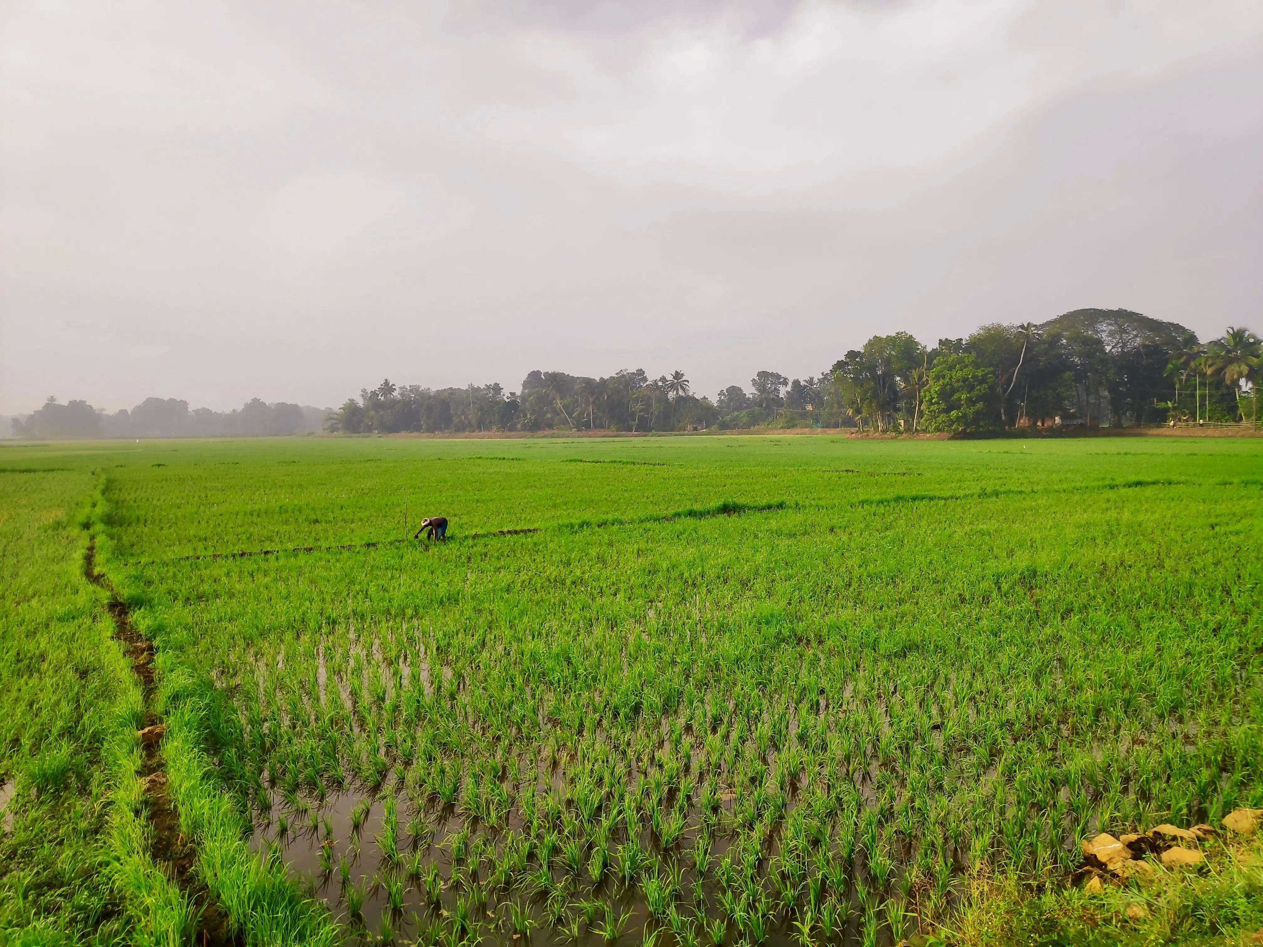 Chennithala, Kerala, India