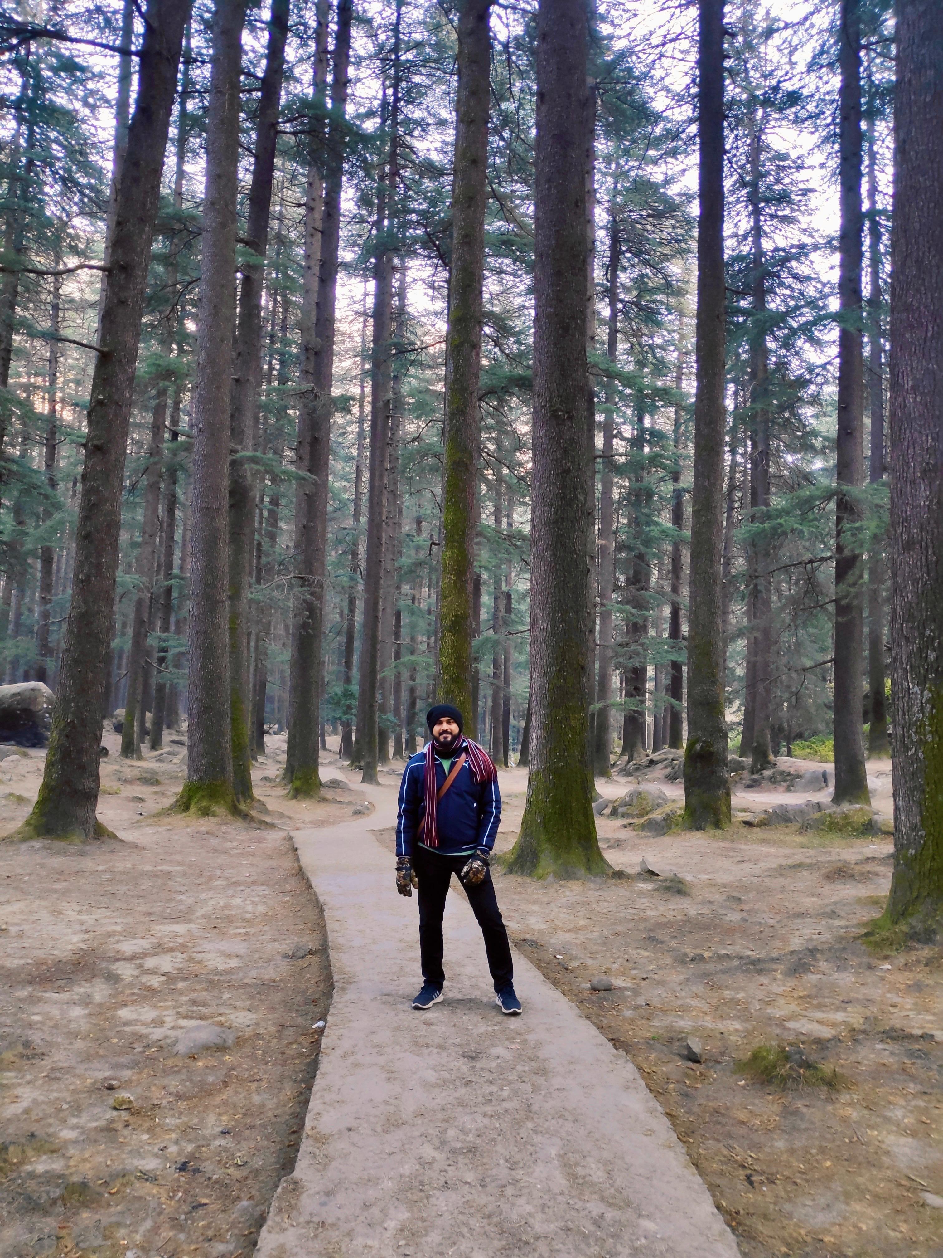 Manali, Himachal Pradesh, India