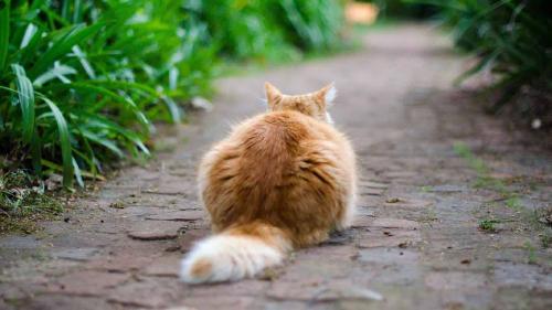 കാത്തിരിക്കരുത് സഖീ