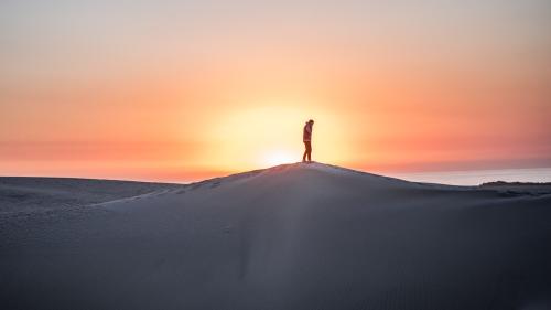 നഷ്ട്ടപുഷ്പം