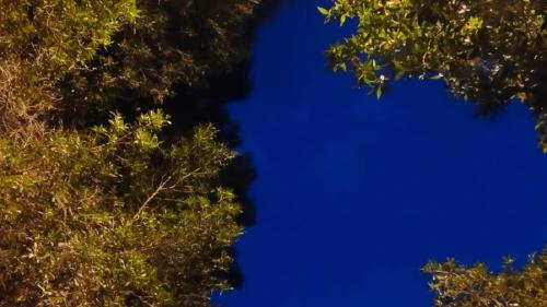 വെളിച്ചവുമിരുട്ടും