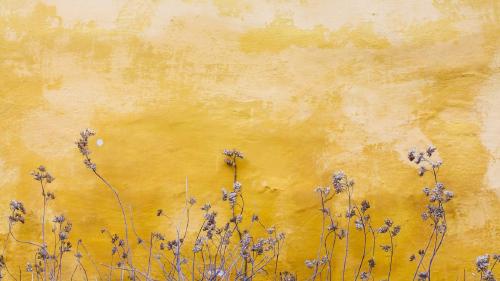 സ്വപ്നതുല്യമായ സത്യം