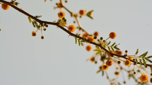ഓർമ്മകളിലേക്ക്