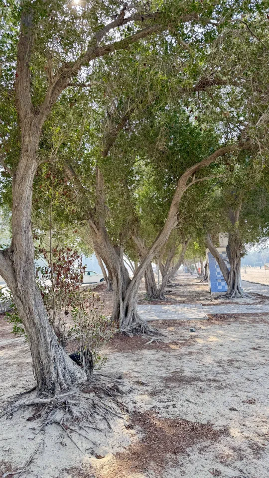 /img/ml/2026/asry-beach/3/2.jpg