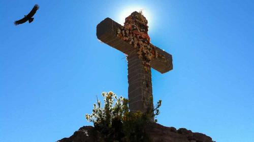 അവർ എൻ്റെ ആരുമല്ല