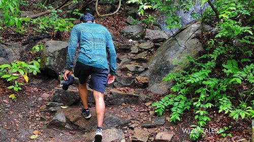 എന്നെ തിരയുന്ന ഞാൻ