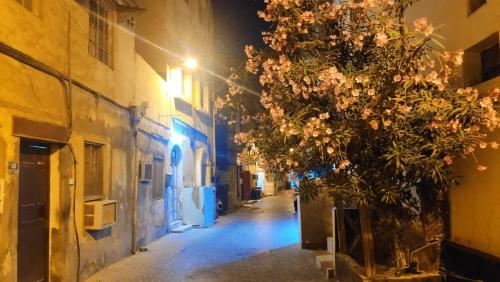 രാത്രിമഞ്ഞകൾ