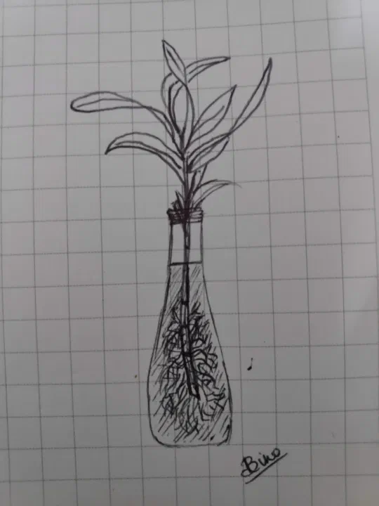 /img/sketches/IMG_20201205_220624.jpg
