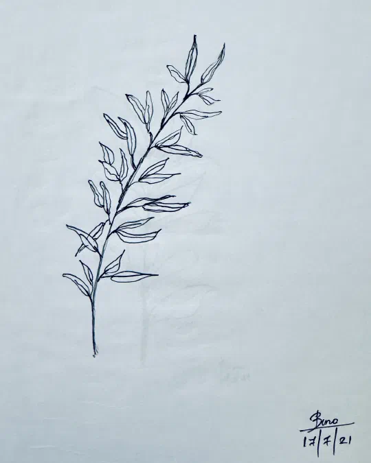 /img/sketches/IMG_9050.jpg