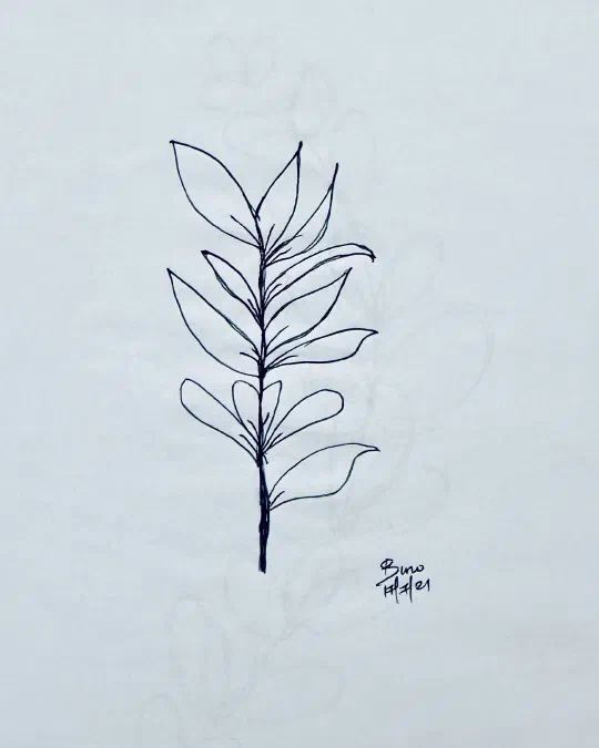 /img/sketches/IMG_9051.jpg
