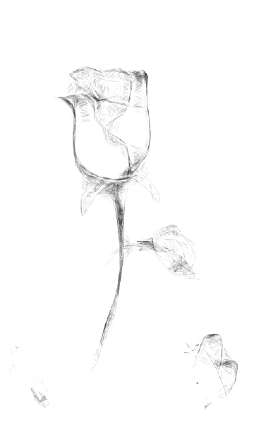 /img/sketches/image_4.png