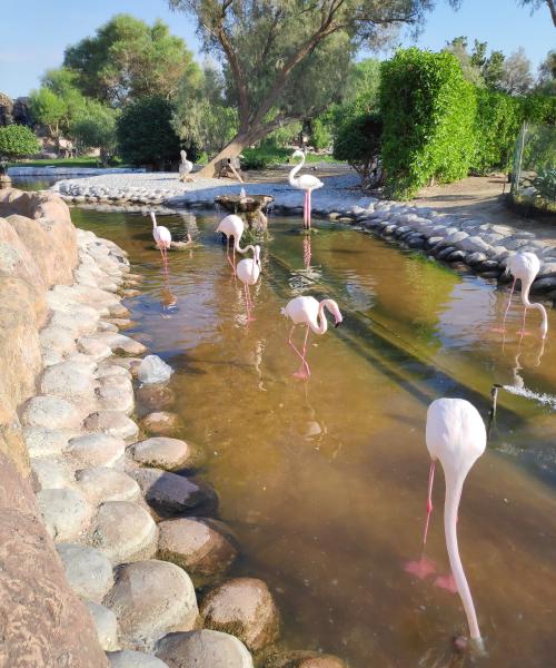 Mohamed bin Zayed Nature Reserve