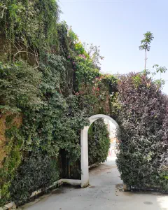 Vertical Garden
