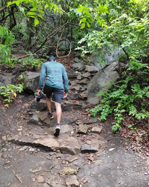 Thenmala Ecotoursim