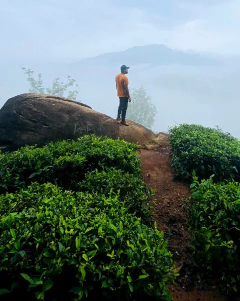 Wayanad