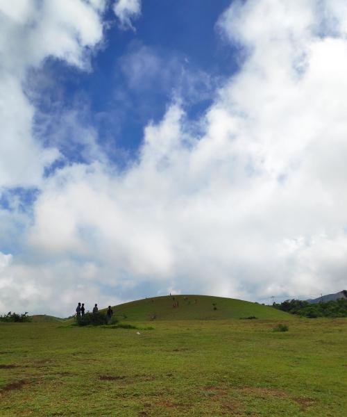 Vagamon Meadows