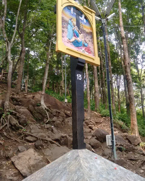 St. Thomas Catholic Shrine