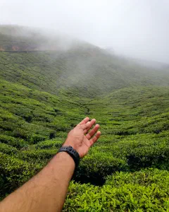 Munnar