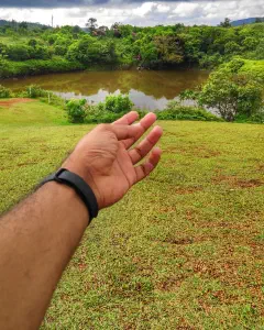 Vagamon Meadows