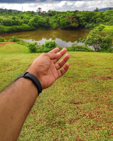 Vagamon Meadows