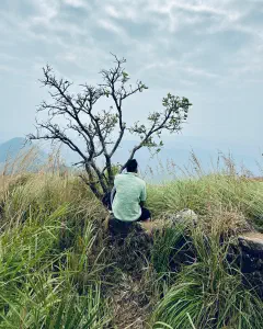 Panchalimeedu