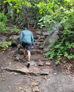 Thenmala Ecotoursim