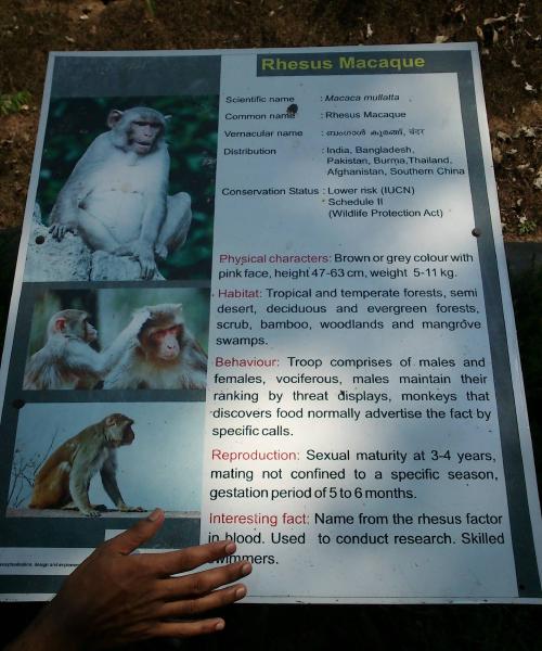 Thiruvananthapuram Zoo